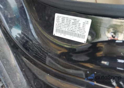 2009 Honda Odyssey Ex-L from USA, damaged, VIN 5FNRL38699B027110